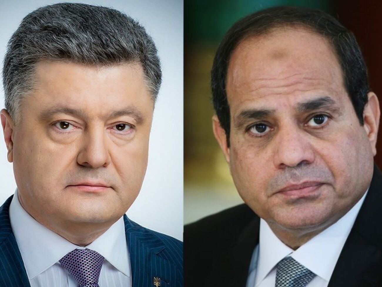 Порошенко поздравил аль-Сиси с победой на выборах и пригласил его посетить Украину