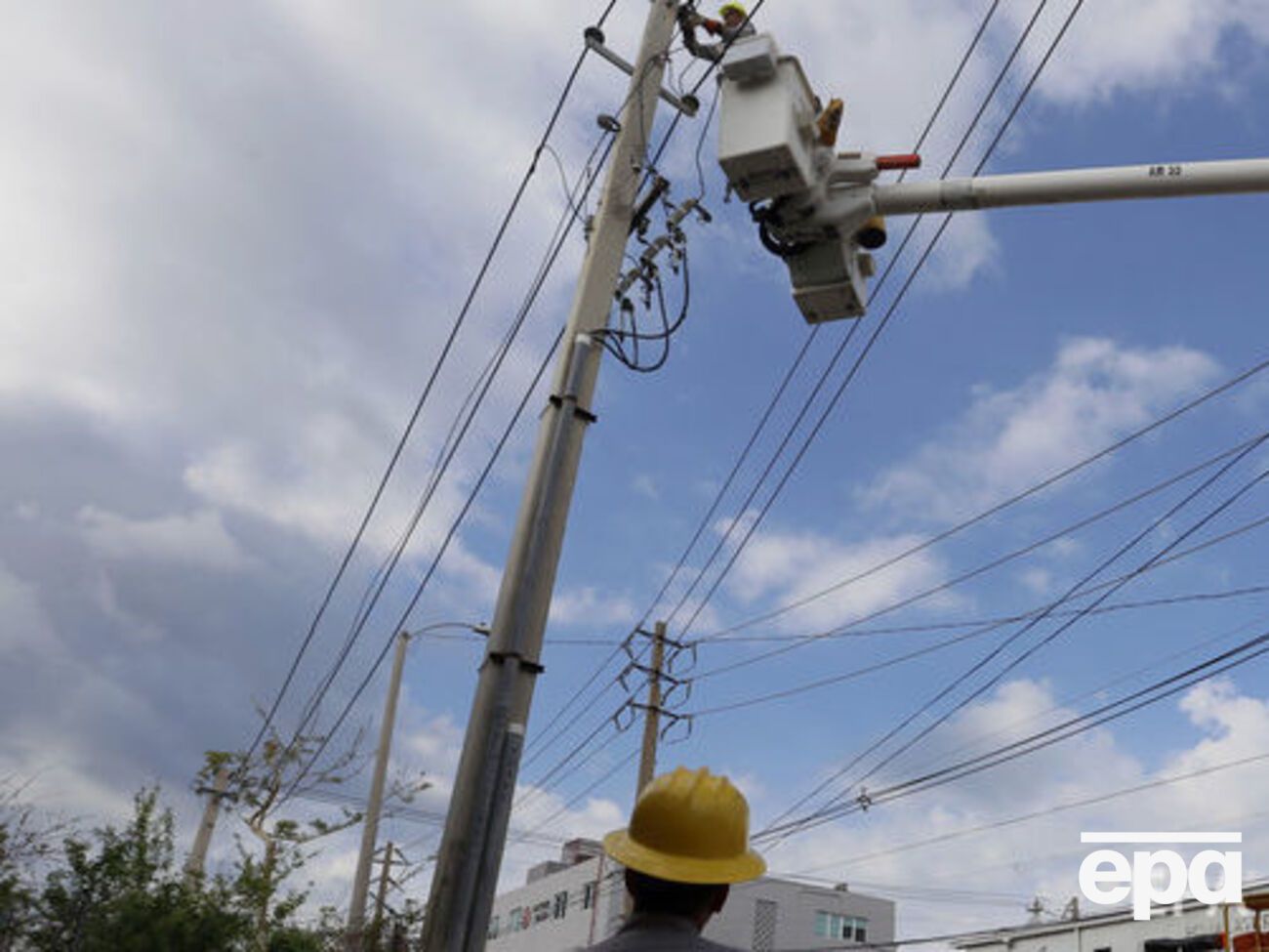 Сотни тысяч человек остались без света из-за упавшего дерева
