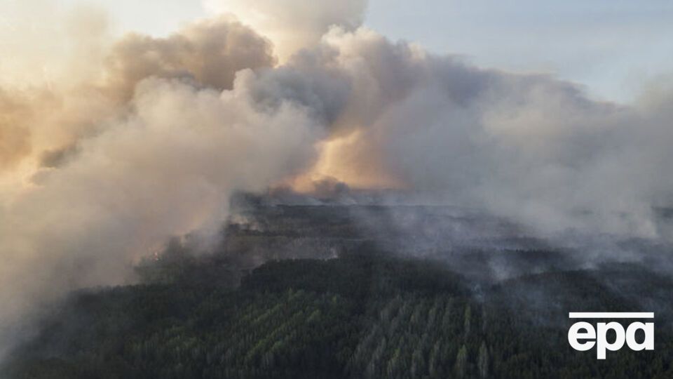 ДСНС попередила про високу пожежну небезпеку в Україні