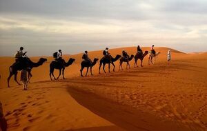 У пустелі можна спостерігати унікальні явища