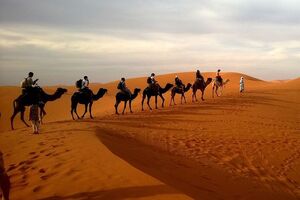 В пустыне можно наблюдать уникальные явления