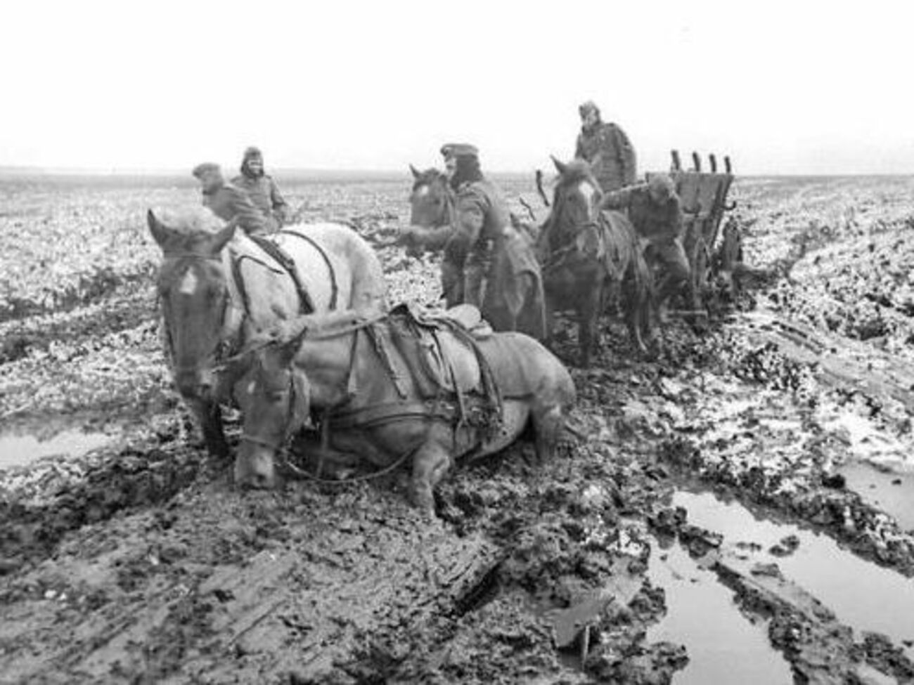 В окрестностях Каменец-Подольского весной 1944 года
