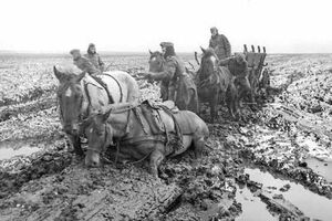 В окрестностях Каменец-Подольского весной 1944 года