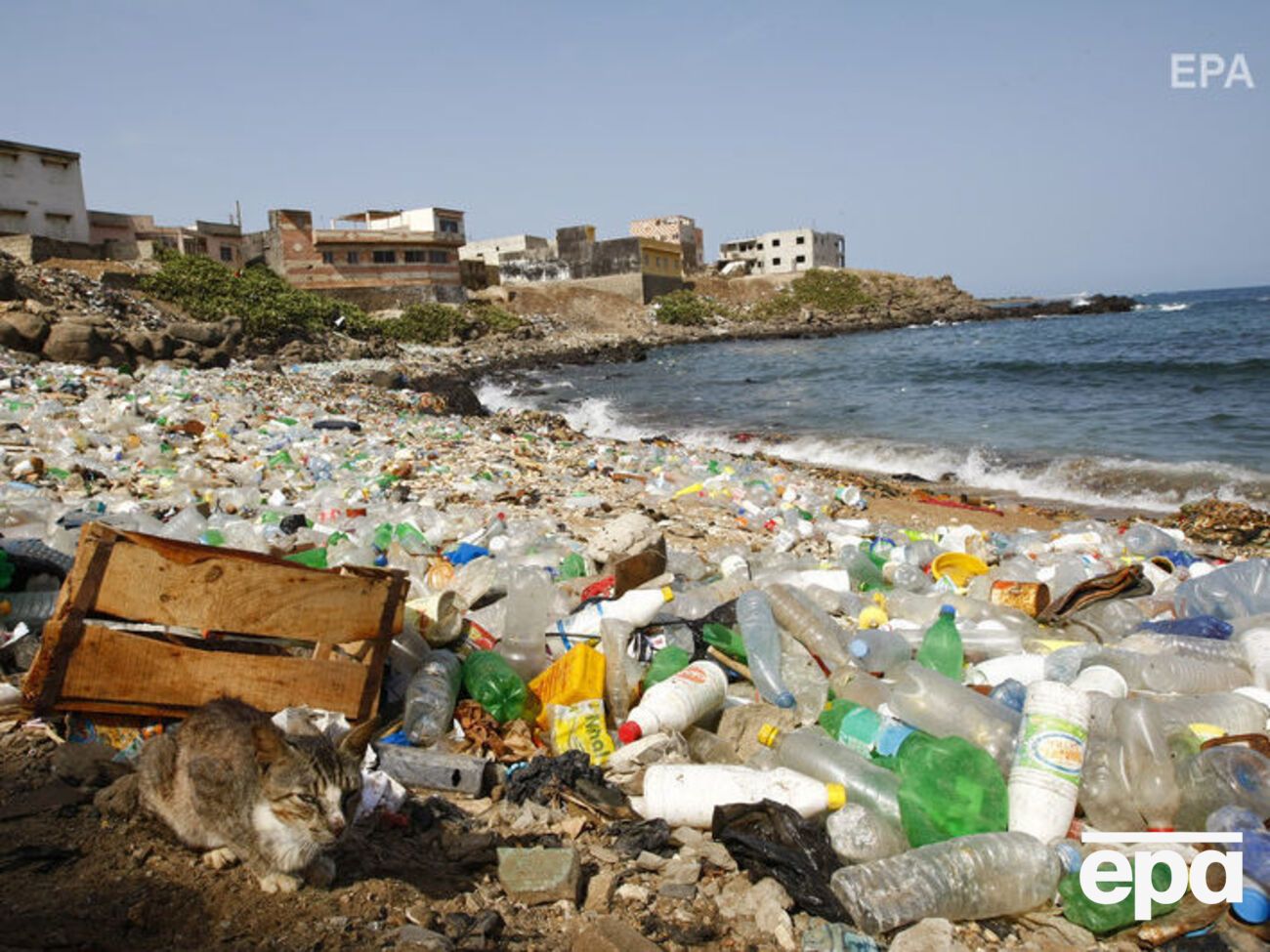 Эксперты подсчитали, что в мировой океан ежегодно выбрасывают более 8 млн тонн пластика