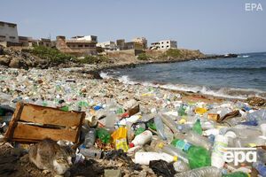 Эксперты подсчитали, что в мировой океан ежегодно выбрасывают более 8 млн тонн пластика