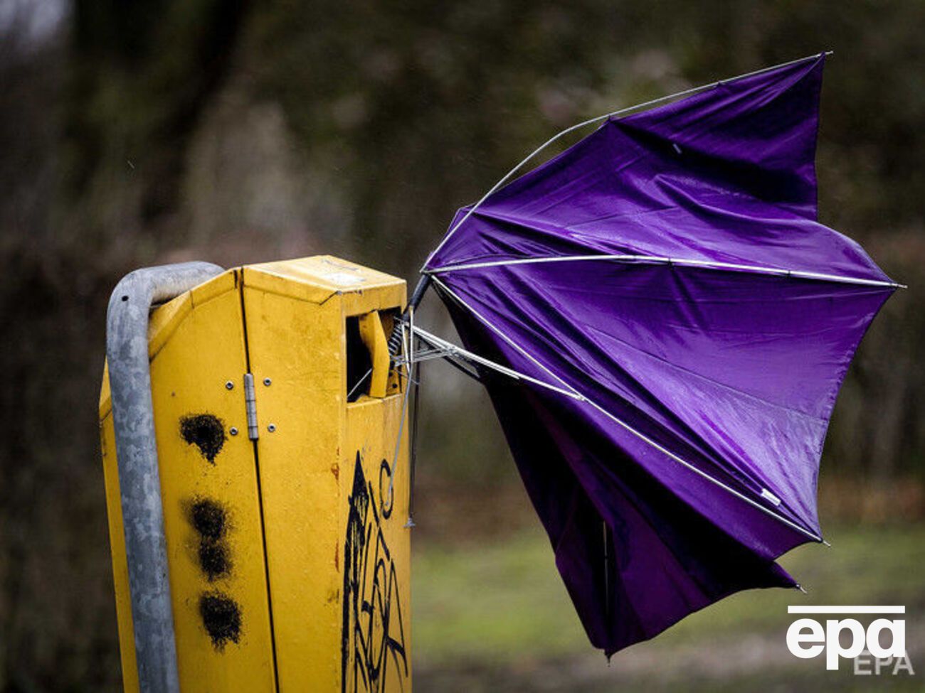 В ГСЧС предупредили о сильном ветре