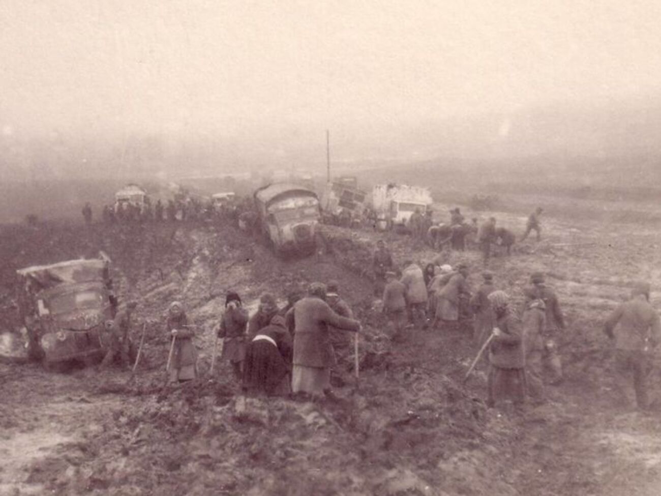 Хорошунова: Всюду на фронте, который вокруг Каменца, все мокрое. На людях одежда не просыхает. И вдруг позавчерашней ночью ударил мороз до 20 и выпал густой обильный снег