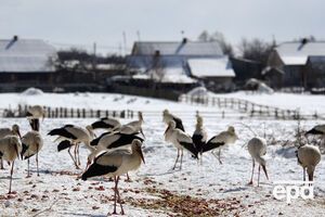 Температура воздуха в марте впервые за пять лет была ниже нормы