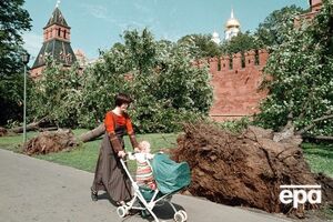 Ураган повалив дерева в Москві