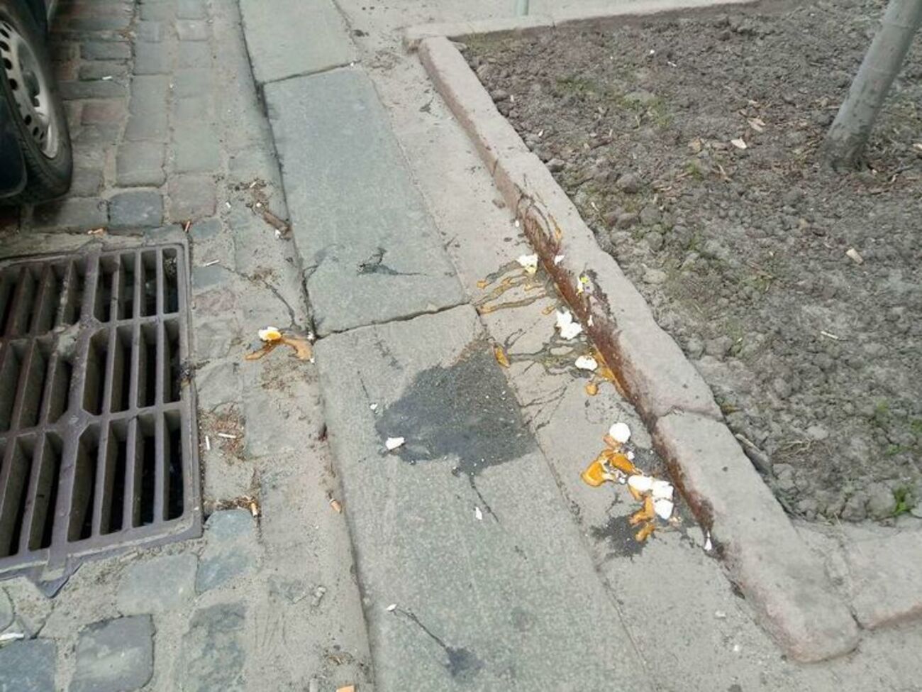 Неизвестные забросали активистов яйцами