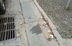 Неизвестные забросали активистов яйцами