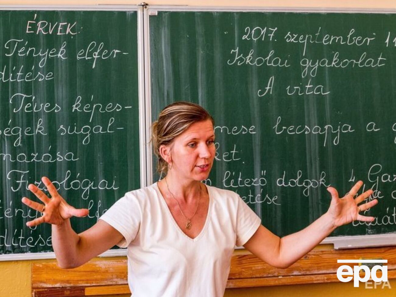 Венгрия&nbsp;выражала беспокойство о будущем венгерского меньшинства в Украине после принятия закона "Об образовании"
