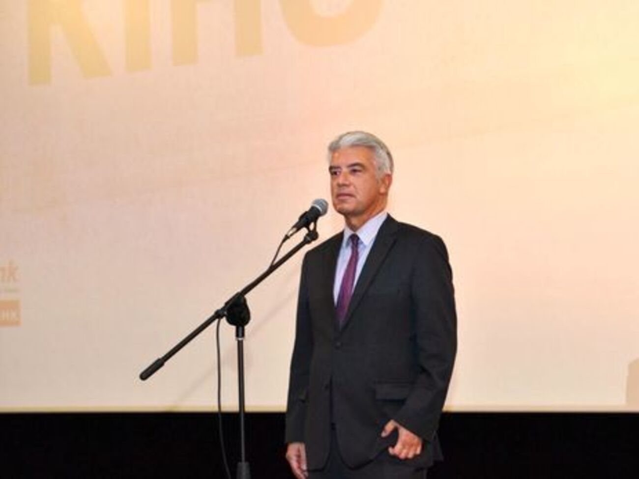 Посол Германии заявил, что текста дорожной карты нет