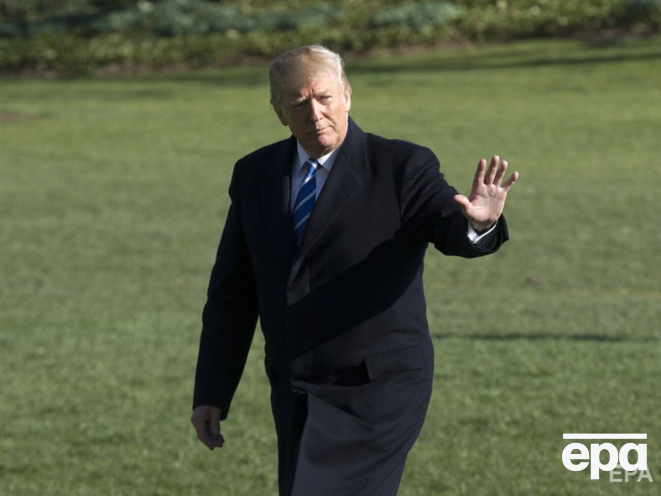 Трамп предположил, что Путин и его окружение попросили Весельницкую заявить о связях с российским правительством