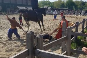 Полицейского использовали как препятствие для коня