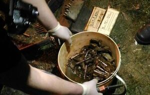 Правоохоронці передали боєприпаси на експертизу