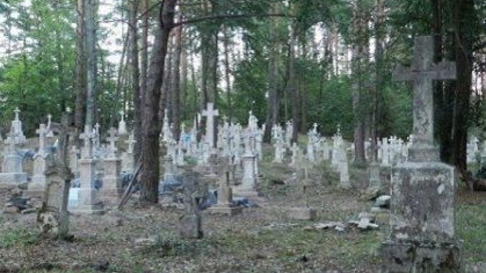 Активісти відновлювали старе кладовище в селі Стара Гута