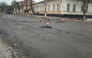 "Жену можно привезти из Киева сюда и радовать прекрасными клумбами, которые появились на дорогах", – написал активист