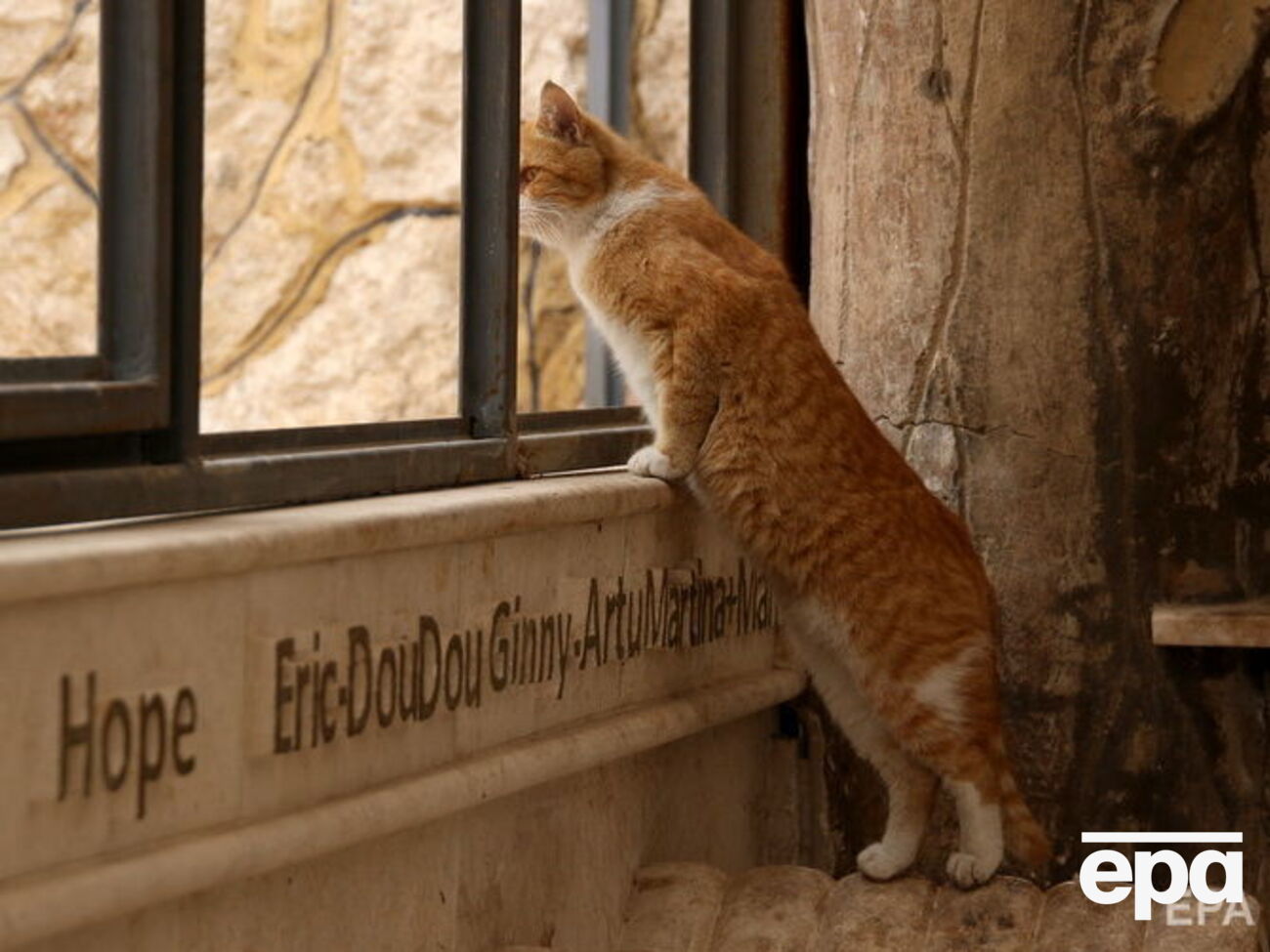 Супрун заявила, що якщо під час провітрювання людина ненадовго потрапить під протяг, "нічого страшного не відбудеться"