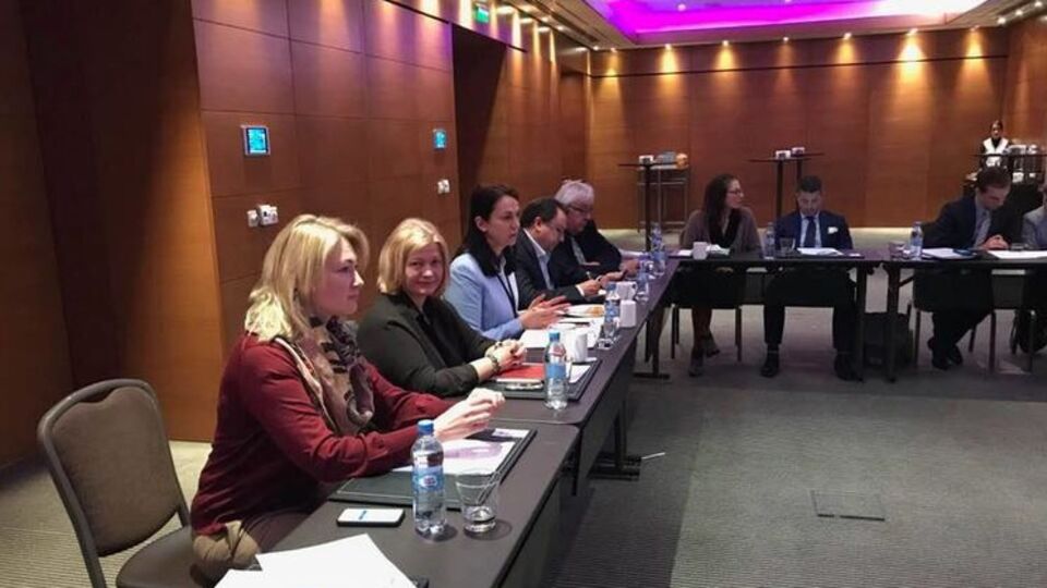 Украинские парламентарии встретились с членами комитета по иностранным делам Европарламента