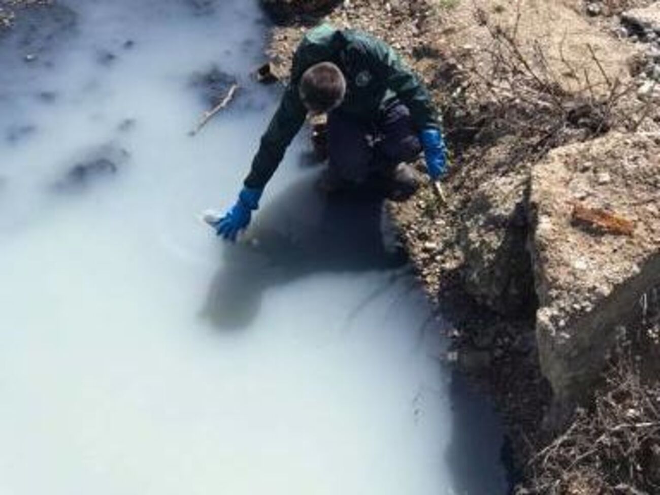 На думку екологів, у море потрапили мийні засоби, залишки винної продукції і дріжджові відходи