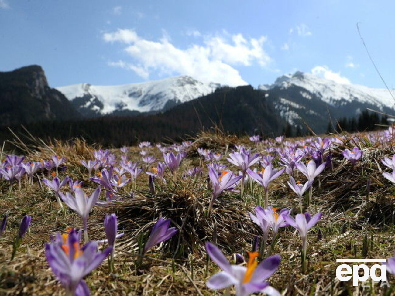 В Украине 9 апреля будет тепло