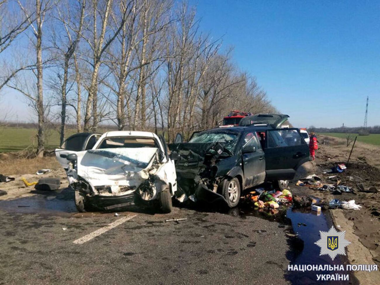 Лобове зіткнення призвело до людських жертв