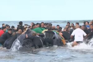 В спасательной операции участвовали сотни жителей аргентинского города Мар-дель-Плата