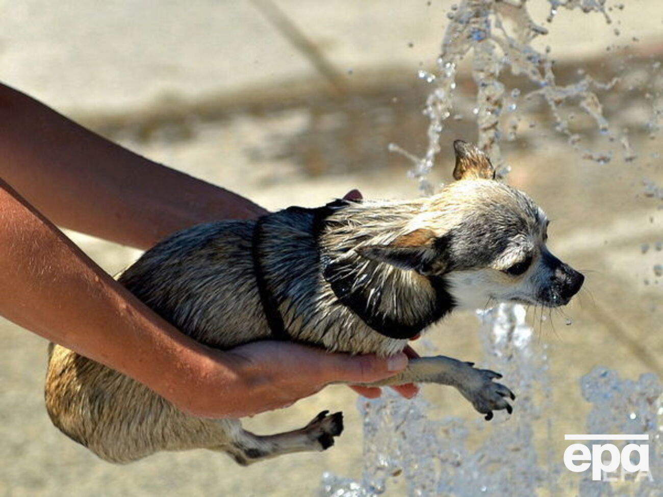 В апреле в Киеве зафиксировали новый температурный рекорд