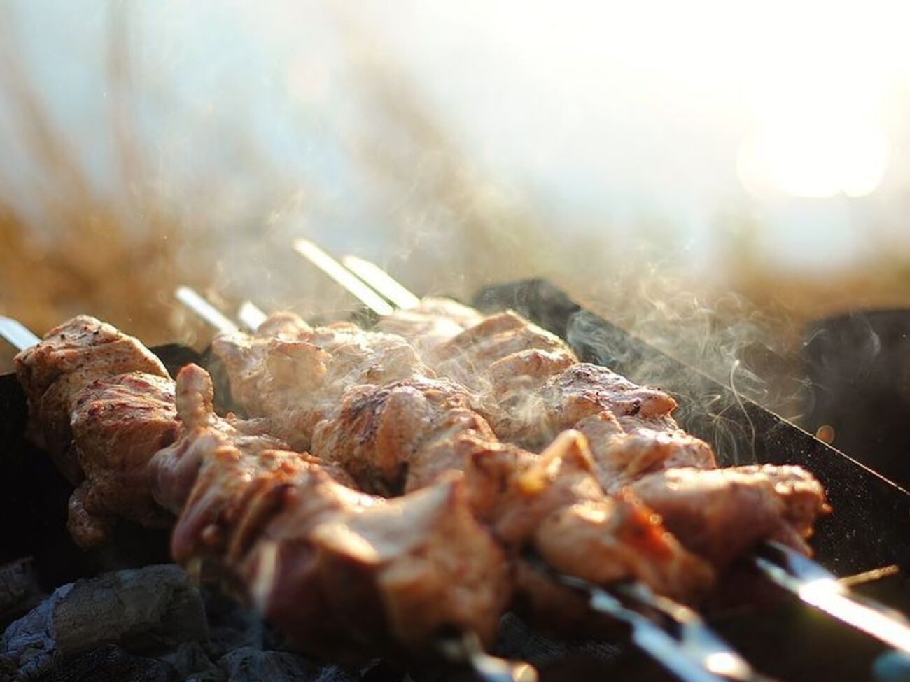 Любители шашлыков из 11 городов России могут столкнуться с ограничениями