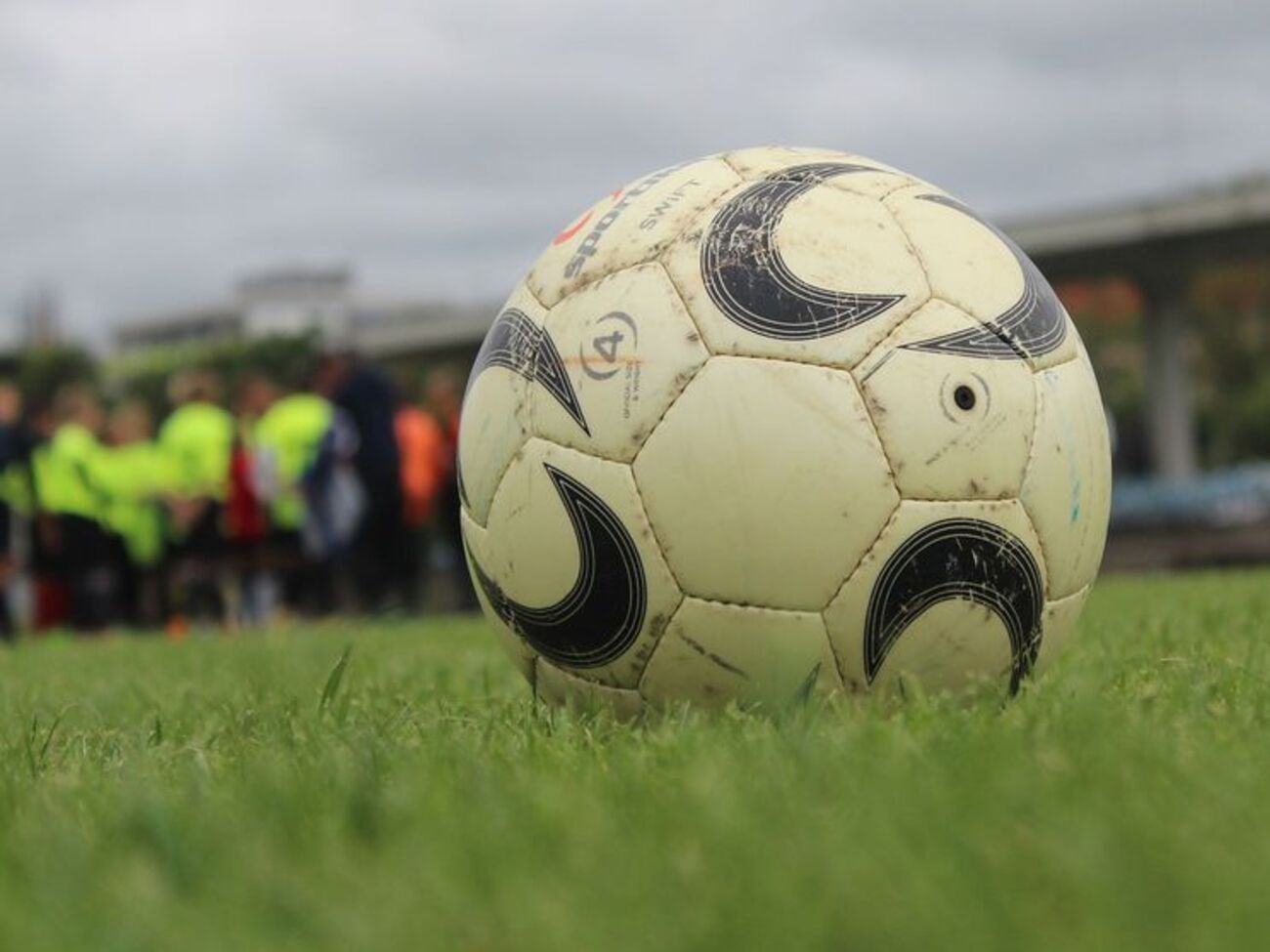 Трава завода "ФФУ Продакшн" стоит дороже европейских аналогов