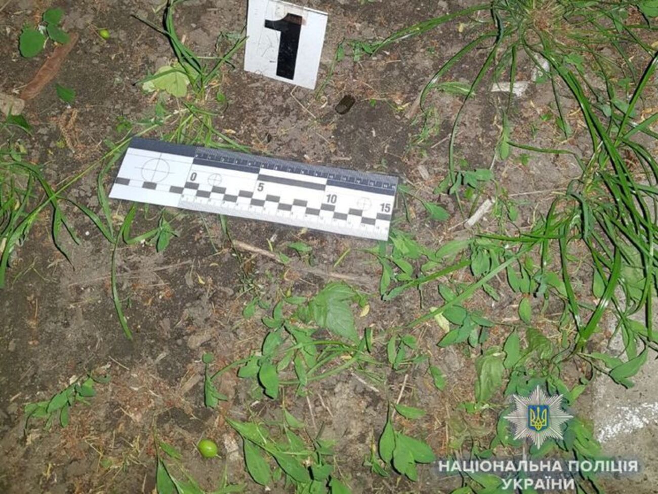 Полиция изъяла две гильзы с места стрельбы