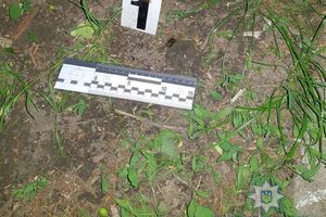 Полиция изъяла две гильзы с места стрельбы