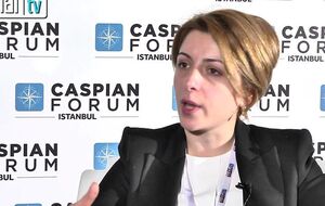 Ткешелашвили: Если есть нужда в какой-то дополнительной транспарентности членов неправительственных организаций, то можно внести поправки
