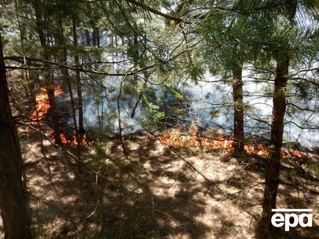 Пожежу поблизу Борівського локалізовано