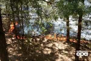 Пожежу поблизу Борівського локалізовано