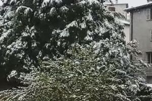 Снігопади пройшли у кількох регіонах Франції