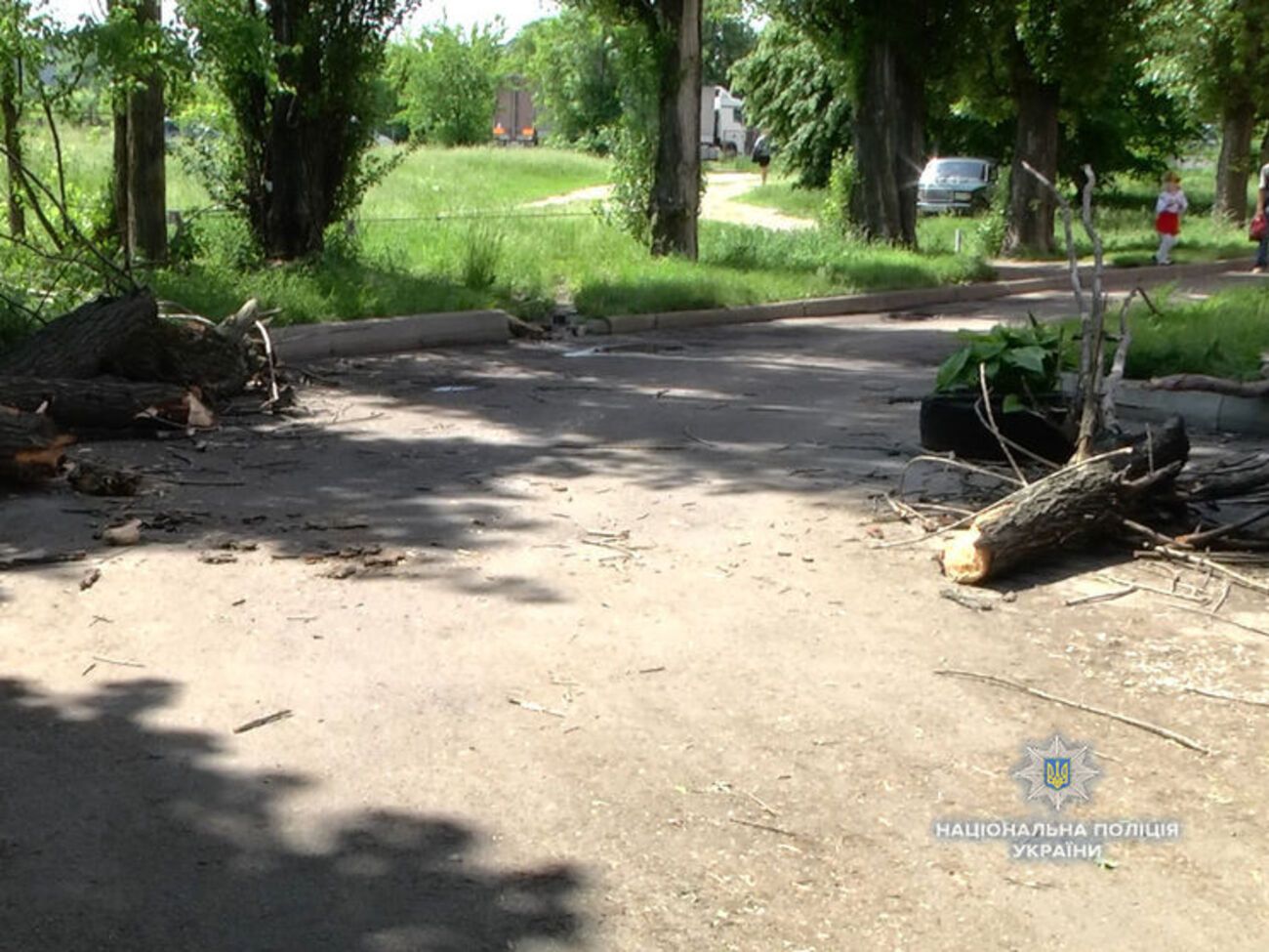 Кілька дітей вирішило погойдатися на тросі, який був намотаний між деревами