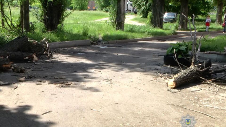 Несколько детей решили покачаться на тросе, который был намотан между деревьями