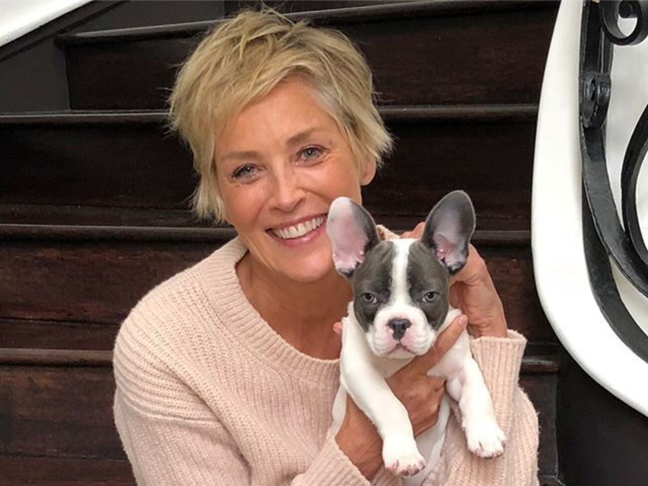 Стоун:&nbsp;Дрессировка щенков