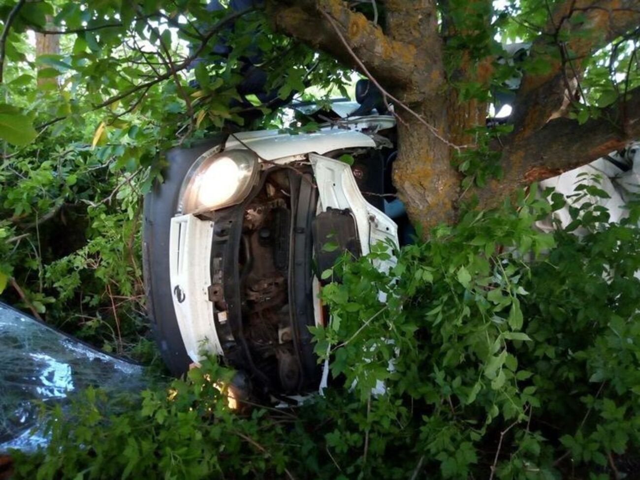 Усього в автомобілі було вісім осіб