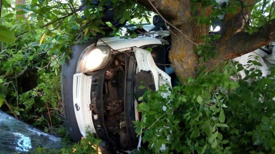 Усього в автомобілі було вісім осіб