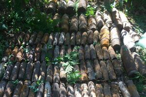 Снаряди виявили в лісі у Святошинському районі Києва