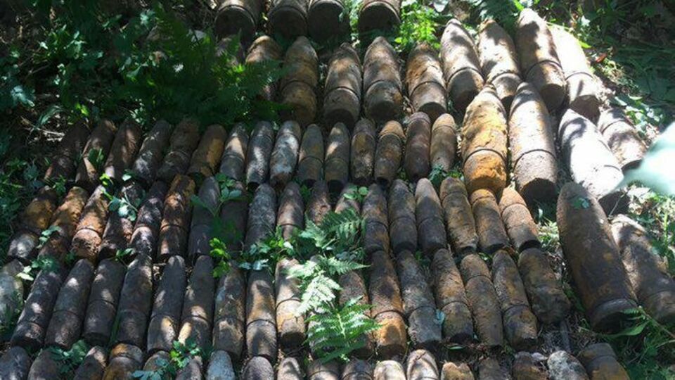 Снаряди виявили в лісі у Святошинському районі Києва