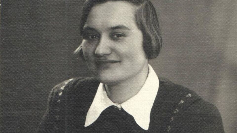 Дневник Ирины Хорошуновой охватывает период с июня 1941 по апрель 1944 года. Это не просто воспоминания, а описание событий в реальном времени