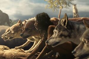 Маугли вырос среди волков