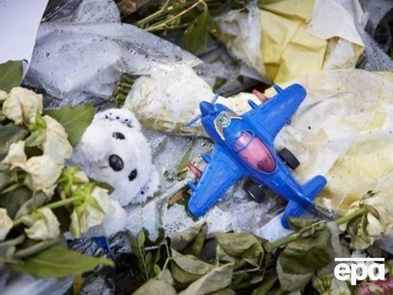 Унаслідок аварії рейсу MH17 у Донецькій області загинуло 298 осіб