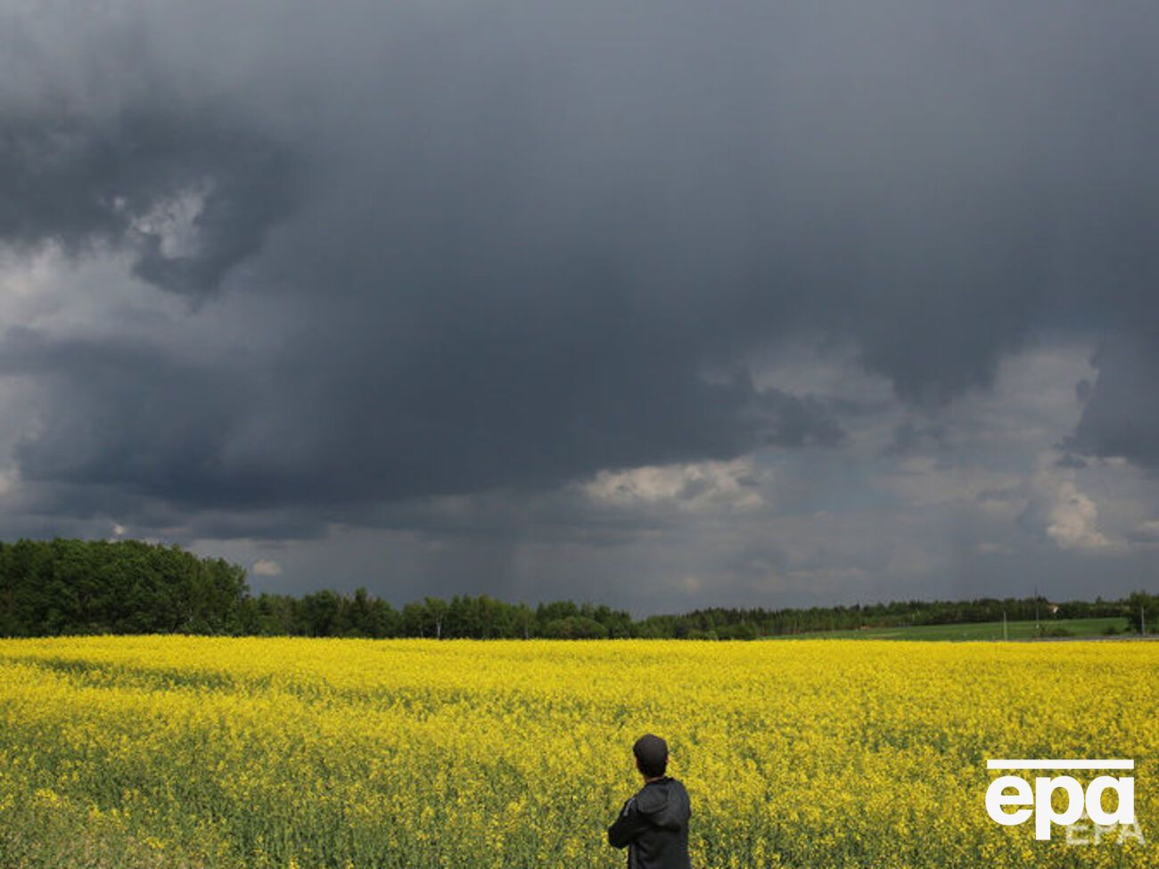 Мораторій на продаж земель сільгосппризначення діє в Україні з 2002 року