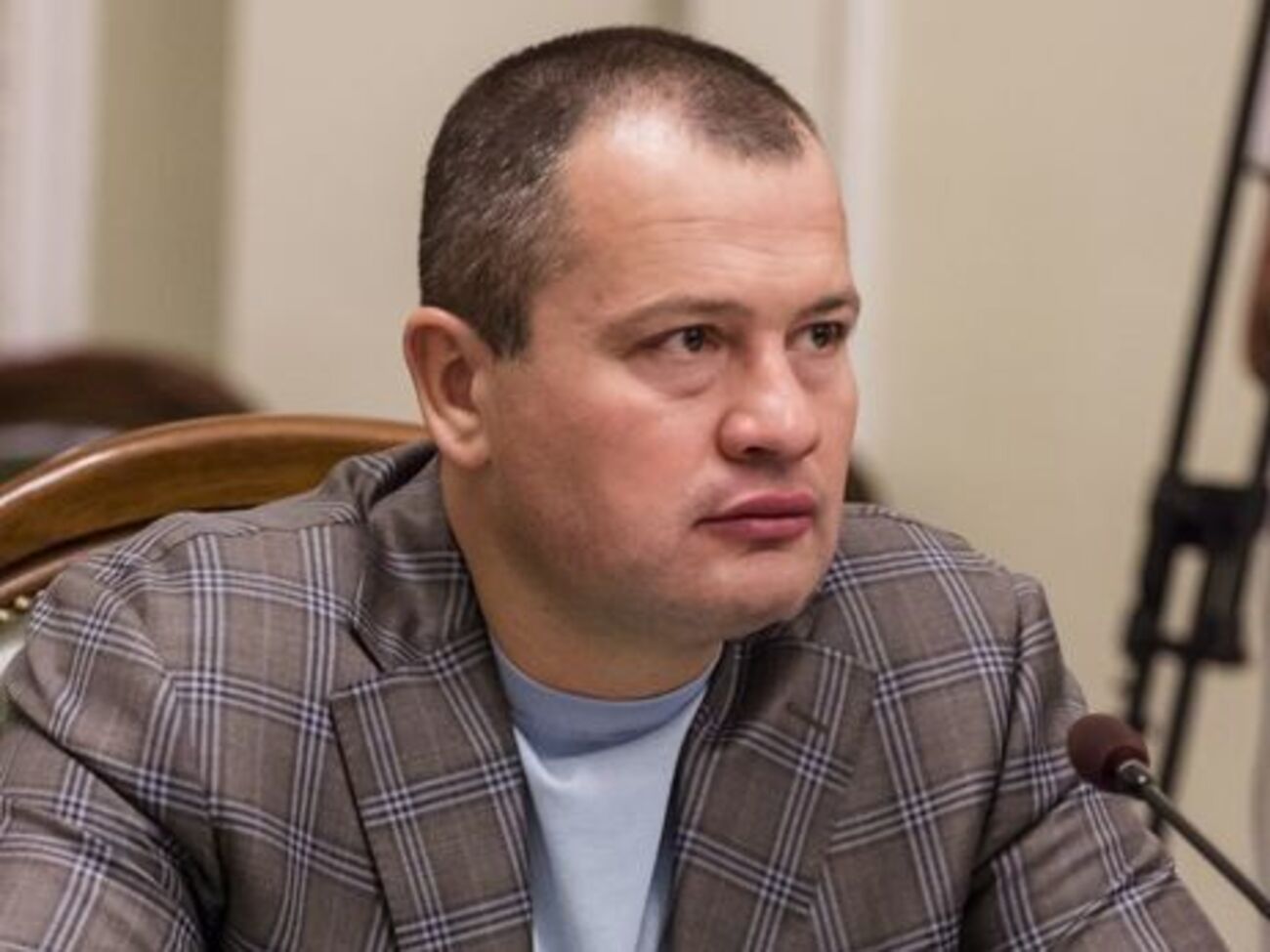 Палатний: Тільки професійні політики та чиновники можуть змінити щось у країні