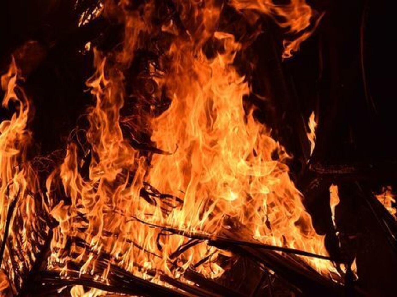 Чрезвычайный уровень пожарной опасности будет преобладать на всей территории Украины, кроме высокогорной части Карпат